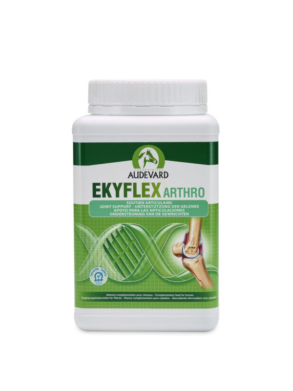 EKYFLEX ARTHRO/1kg