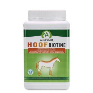 HOOF BIOTINE/1kg