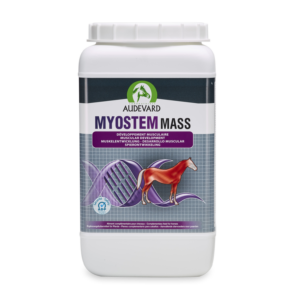 MYOSTEM MASS/2.1kg