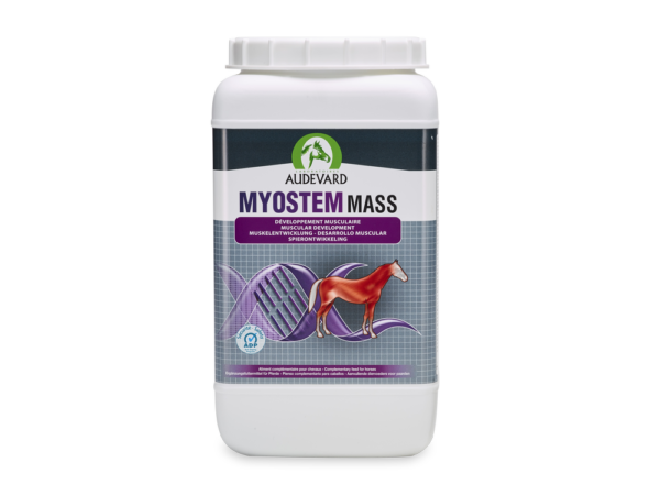 MYOSTEM MASS/2.1kg