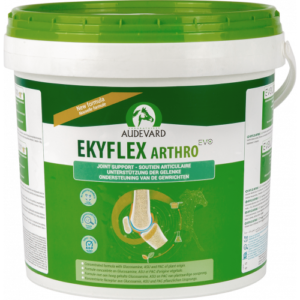 EKYLFEX ARTHRO EVO/4.5kg