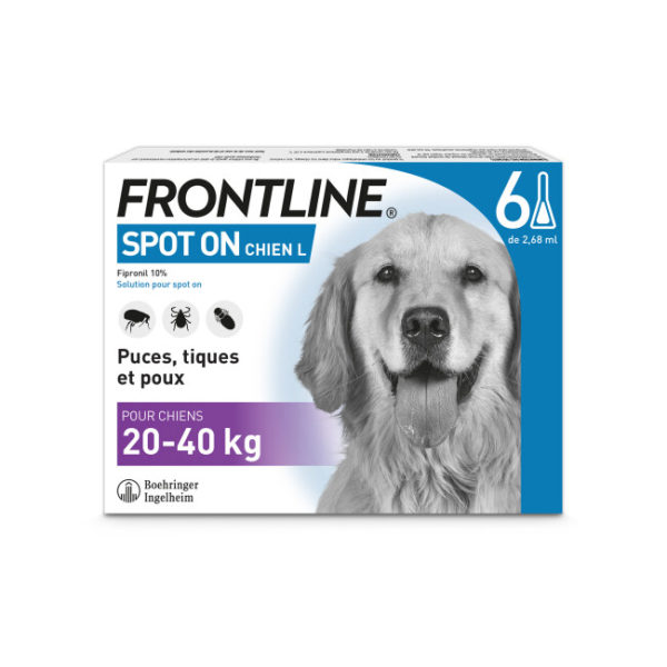 Frontline spot on chien L