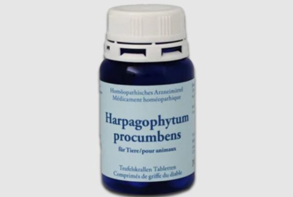 Powervet Harpagophytum comprimés