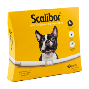 Collier Scalibor antiparasitaire pour chien