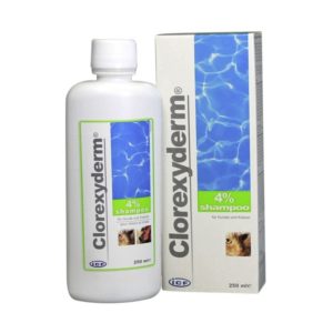 Clorexyderm shampooing